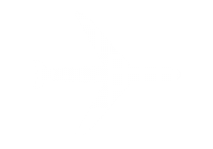 plane / vliegtuig